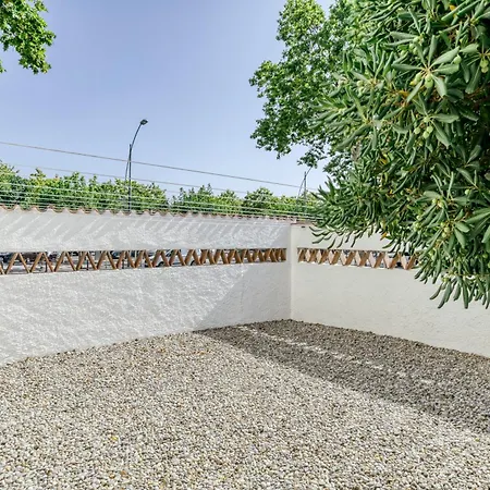 Olga * بلاتجا ذارو